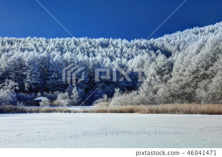 Cloud frost in the Sakigahara Cloud frost in the Sakigahara 46841471