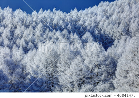 Cloud frost in the Sakigahara 46841473