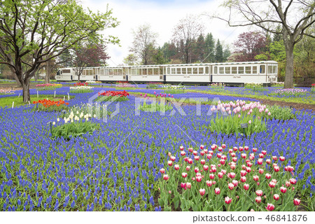 Mushikari no Yurigahara Park 46841876