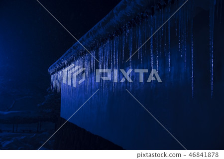 雪的敦賀城堡公園 46841878