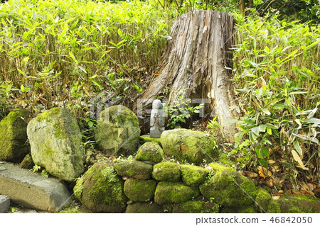 Stump and small Jizo Stump and small Jizo 46842050