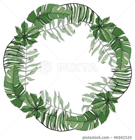 Vector Green leaf plant botanical foliage. Engraved ink art. Palm beach tree leaves. Frame border 46842520