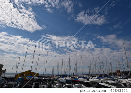 葉山碼頭 46843331