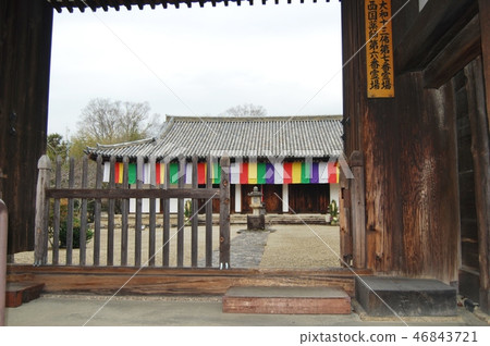 Landscape from the south gate of Shin Yakushiji Temple 46843721