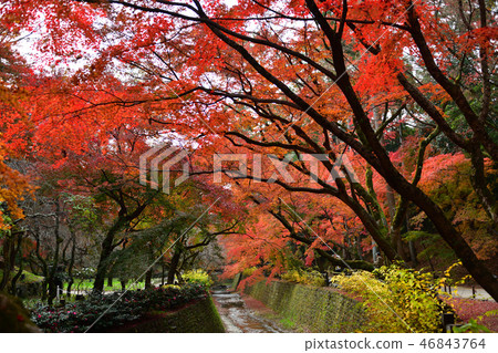 北野Tenmangu秋葉2018年 46843764