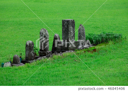 草坪上的墳墓 46845406