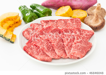 Yakiniku ingredients BBQ ingredients 46846048