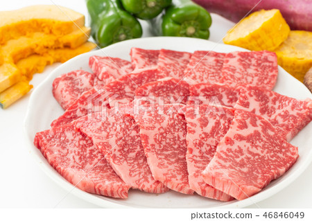 烤肉配料燒烤配料 烤肉配料燒烤配料 46846049