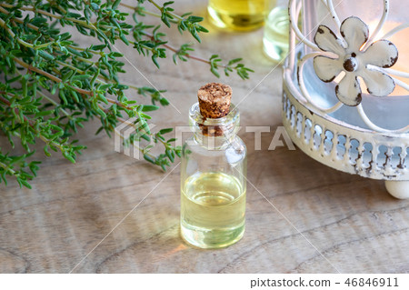A bottle of thyme essential oil A bottle of thyme essential oil 46846911