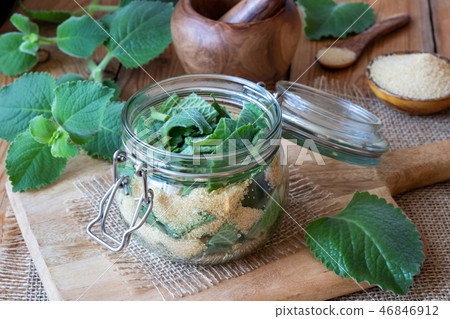 Preparation of a silver spurflower syrup Preparation of a silver spurflower syrup 46846912