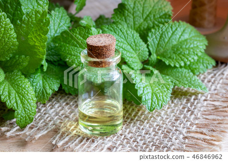A bottle of melissa essential oil 46846962