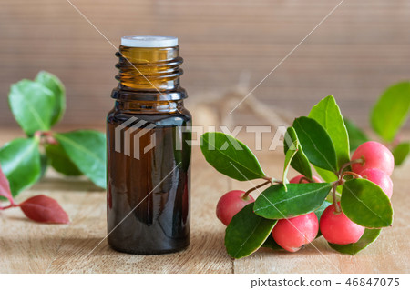 A bottle of wintergreen essential oil  46847075
