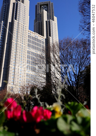 Flowers and Tokyo Metropolitan Government Flowers and Tokyo Metropolitan Government 46847532