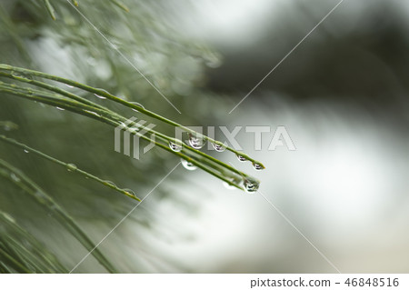 水滴下降水雨季 46848516