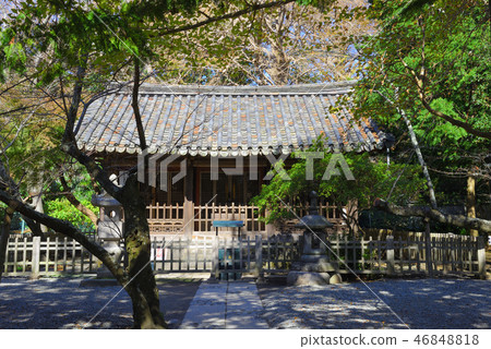 Kamakura Kotokuin (the Kamakura Great Buddha) 46848818