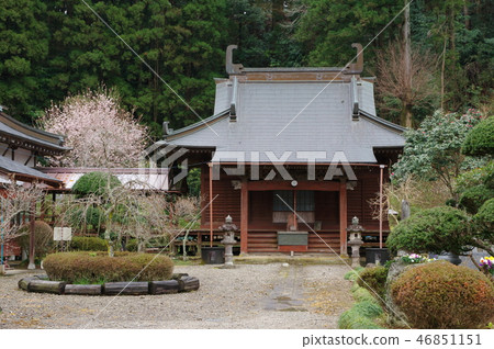 Myofuku-ji（柏市） 46851151