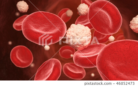 Blood cells and glucose in the vein Blood cells and glucose in the vein 46852473
