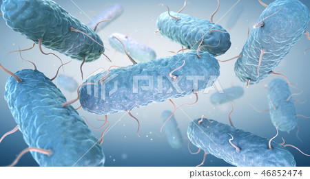 Enterobacteria 46852474