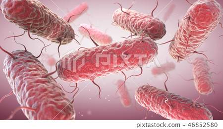 Enterobacteria 46852580
