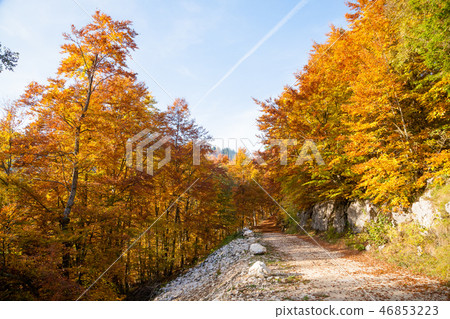 Autumn mountain landscape 46853223