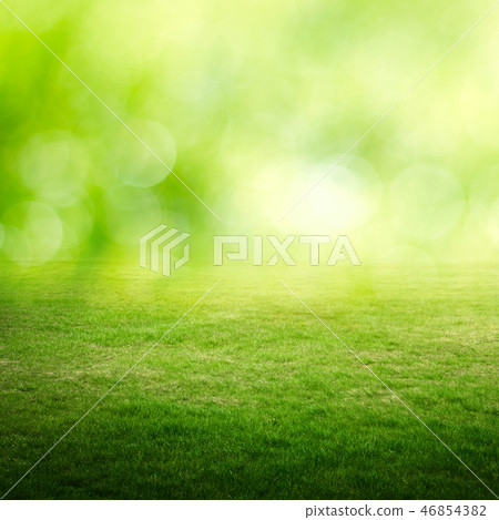 Bokeh and green meadow Bokeh and green meadow 46854382