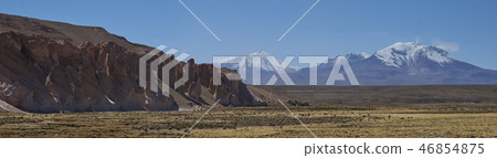 Altiplano of northern Chile in Lauca National Par 46854875