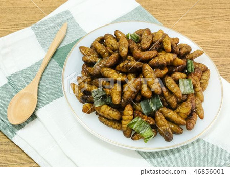 Deep Fried Coconut Worms on A White Dish Deep Fried Coconut Worms on A White Dish 46856001