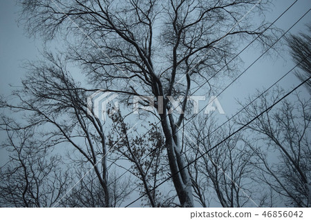 Snow-covered landscape. Severe winter snow Snow-covered landscape. Severe winter snow 46856042