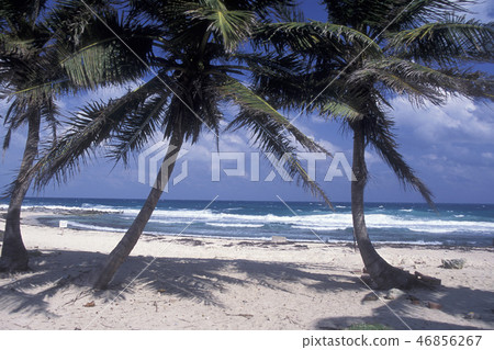 MEXICO YUCATAN CANCUN BEACH CARIBBEAN SEA 46856267