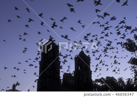 Zentralamerika, Mexiko, Yucatan, Valladolid Zentralamerika, Mexiko, Yucatan, Valladolid 46856347