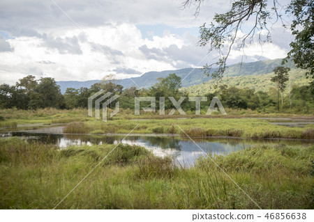 CAMBODIA SRA EM LANDSCAPE CAMBODIA SRA EM LANDSCAPE 46856638