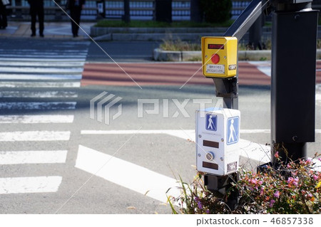 Push-button traffic light 46857338