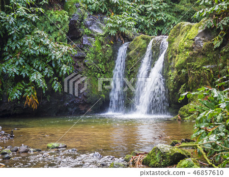 Majestic waterfall in lush green forest at Nature Reserve Parque Natural da Ribeira dos Caldeiroes 46857610