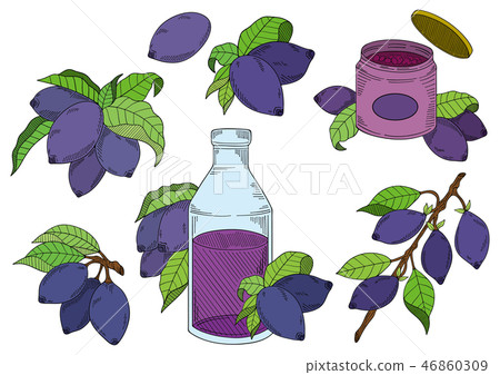 Illustration material of lotus cup 46860309