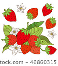 Illustration of strawberries 46860315