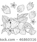 Illustration of strawberries 46860316