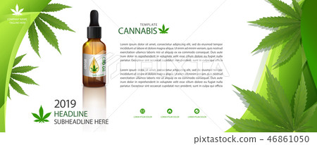 green cannabis leaf drug marijuana herb Background green cannabis leaf drug marijuana herb Background 46861050