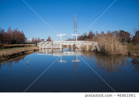 大宮花山農業和森林公園生物群落哈恩橋冬季場景 46861061