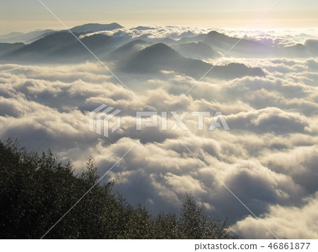 嘉義阿里山隙頂雲海 46861877