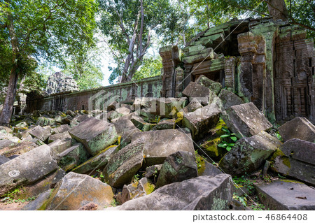 ruins and tetrameles at Ta Prohm temple 46864408