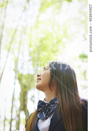 High school girl looking up at Takebayashi High school girl looking up at Takebayashi 46864907