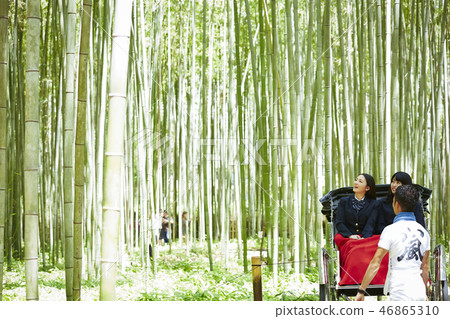 A drawn picture of two high school girls riding a rickshaw in a bamboo forest A drawn picture of two high school girls riding a rickshaw in a bamboo forest 46865310