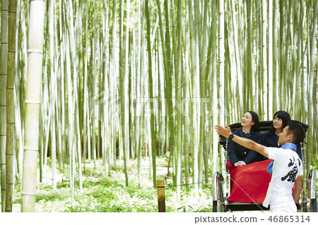 A drawn picture of two high school girls riding a rickshaw in a bamboo forest A drawn picture of two high school girls riding a rickshaw in a bamboo forest 46865314