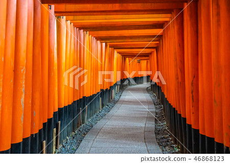 Beautiful fushimi inari shrine temple in Kyoto Beautiful fushimi inari shrine temple in Kyoto 46868123