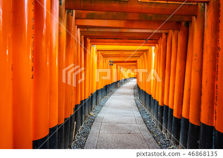 Beautiful fushimi inari shrine temple in Kyoto Beautiful fushimi inari shrine temple in Kyoto 46868135