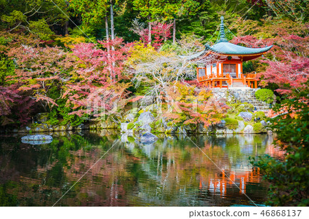 Beautiful Daigoji temple with colorful tree and leaf in autumn season Beautiful Daigoji temple with colorful tree and leaf in autumn season 46868137
