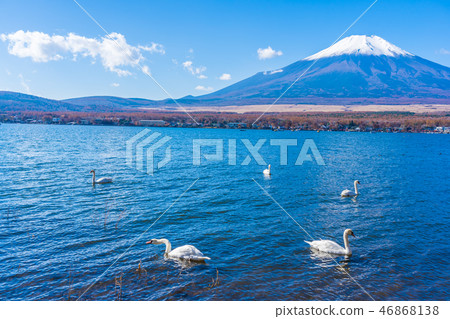 Beautiful landscape of mountain fuji around yamanakako lake Beautiful landscape of mountain fuji around yamanakako lake 46868138