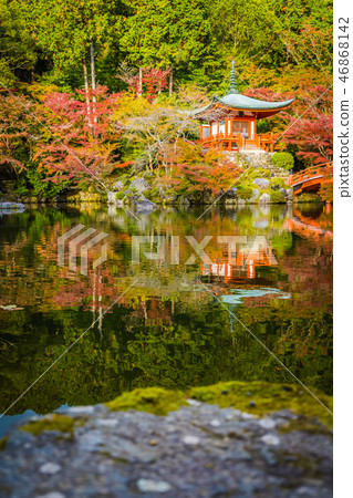 Beautiful Daigoji temple with colorful tree and leaf in autumn season 46868142