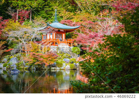 Beautiful Daigoji temple with colorful tree and leaf in autumn season 46869222