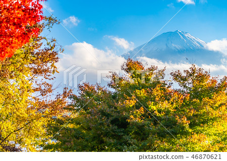 Beautiful landscape of mountain fuji with maple leaf tree around lake 46870621